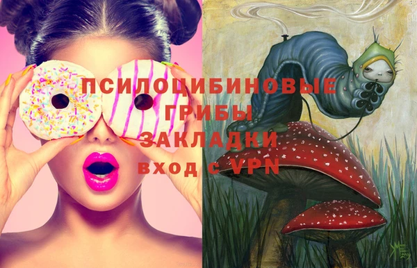прущая мука Абаза