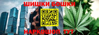 стафф Заводоуковск