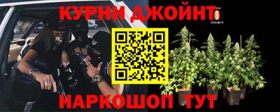 стафф Заводоуковск